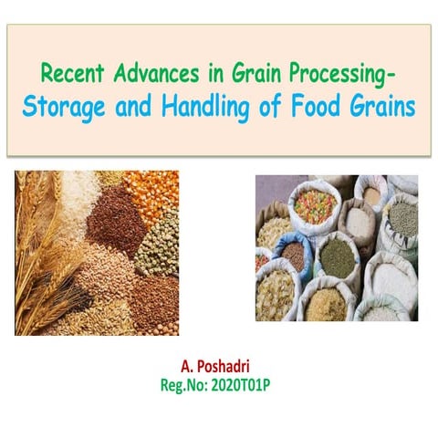 Recent advances in grain processing