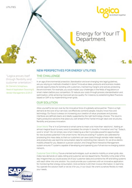 NEW PERSPECTIVES FOR ENERGY UTILITIES 