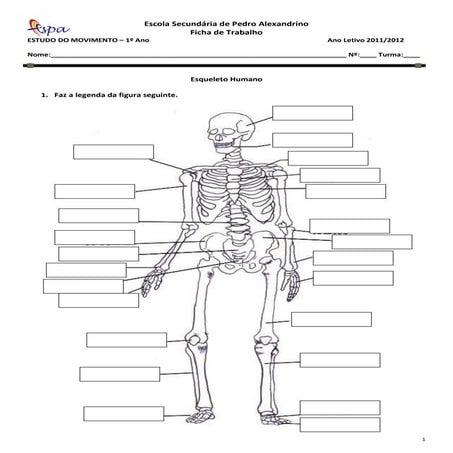 Jean droit taille haute brodé d'un nœud