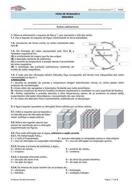 FT8 - ROCHAS SEDIMENTARES