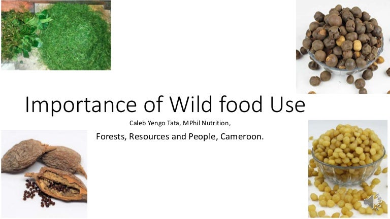 thumbnail of  Importance of Wild food Use