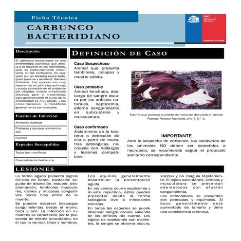 F tecnica carbunco | PDF