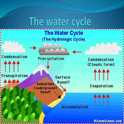 F the water cycle
