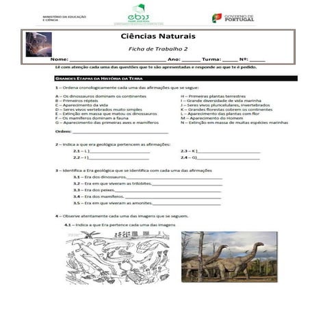 FT historia da terra (eras)