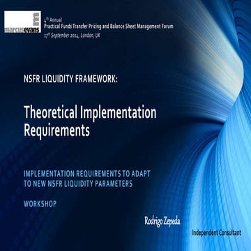Basel III NSFR Liquidity Framework: Theoretical Implementation Requirements