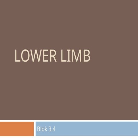 Lower Limbs the Clinically Oriented Anatomy | PPTX