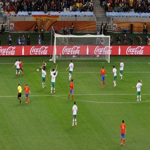 Staining for Conventional Light Microscopy