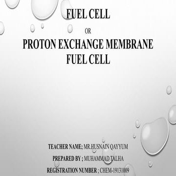 Fuel cell final 
