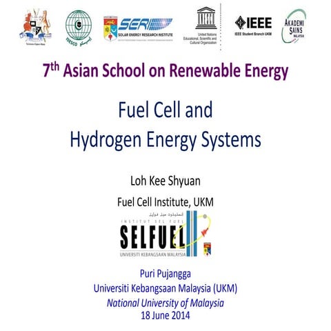 Fuel cells and hydrogen energy systems | PDF