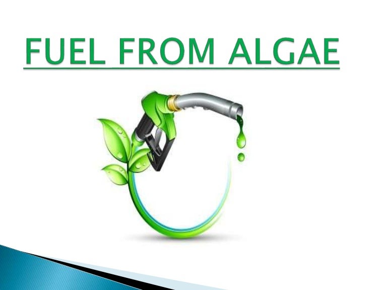 Fuel From Algae