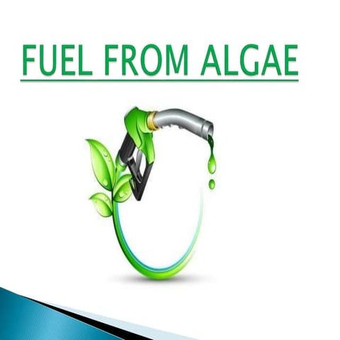 Fuel From Algae