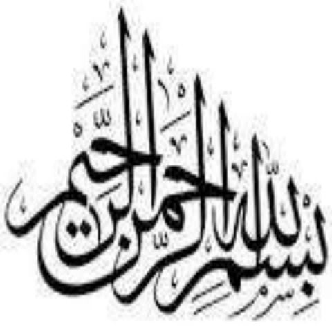 Fuel injection system