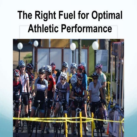 Find the Right Fuel for the Best Performance