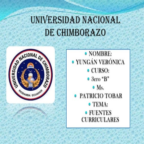 Fuentes curriculares