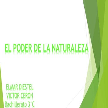 Fuerzas de la naturaleza ¨fisica i¨