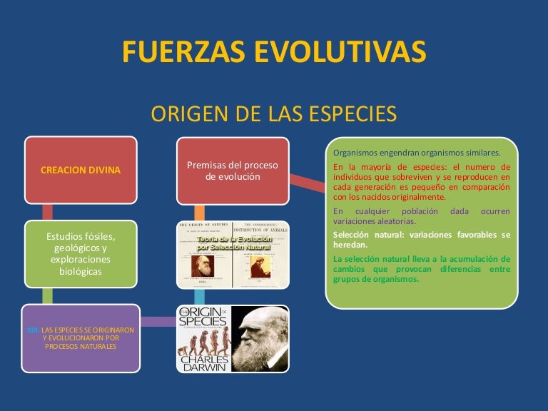Fuerzas evolutivas