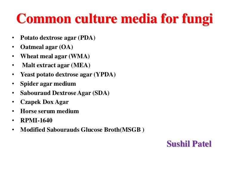 Common Media for Fungi