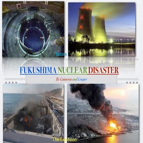  Fukushima disaster cameron and cooper
