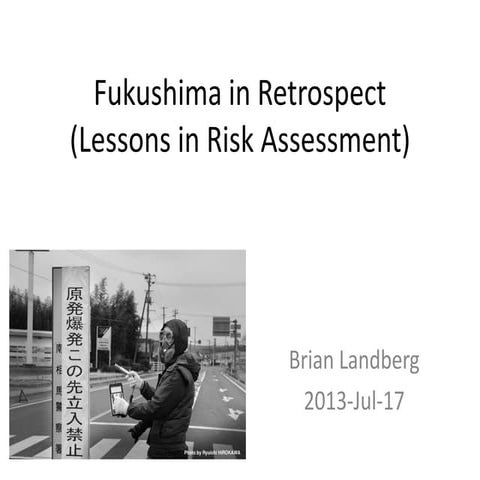 Fukushima in Retrospect (2013)