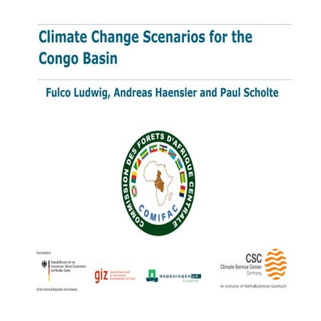 Climate Change Scenarios for the Congo Basin