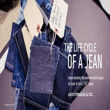 The Life Cycle | Understanding the environmental impact of a pair of Levi’s 5...