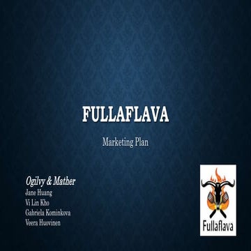 Fullaflava Marketing Plan