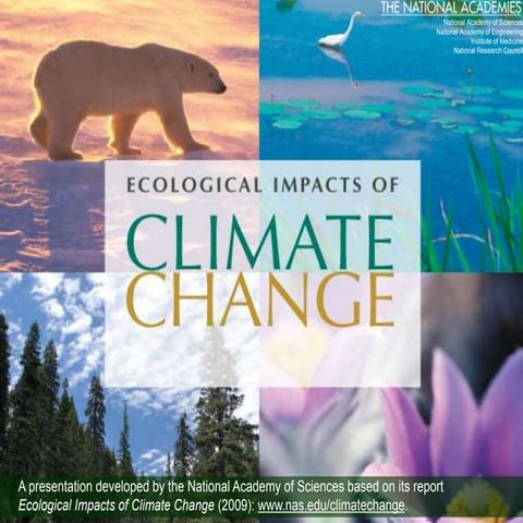 Impact of climate change on biodiversity and agriculture | PPTX