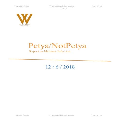 Maersk Notpetya Crisis Response Case Study | PDF