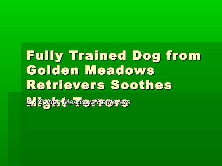 golden meadows retrievers