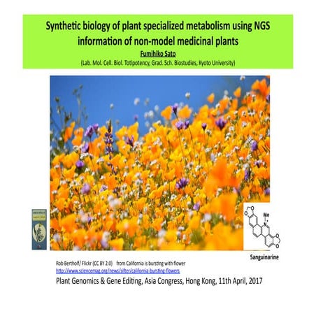 Synthetic Biology Of Plant Specialised Metabolism Using NGS Information Of Non-Model Medicinal Plants