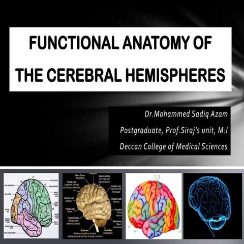 Brodmann's areas of the cerebral cortex