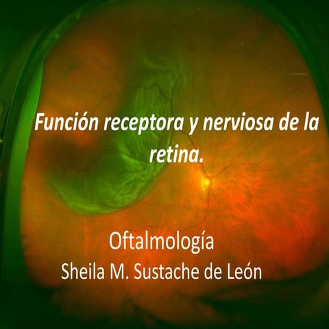 Capas de la retina. fisiologia i | PPTX
