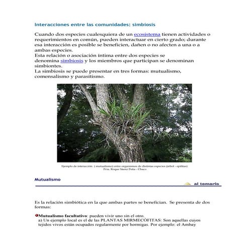 Funcionamiento de ecosistemas