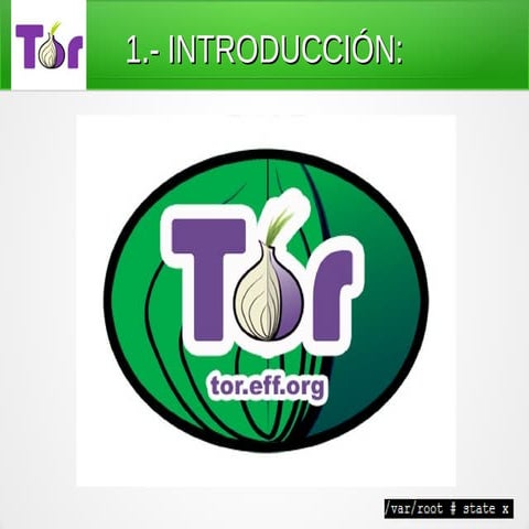 Funcionamiento Tor