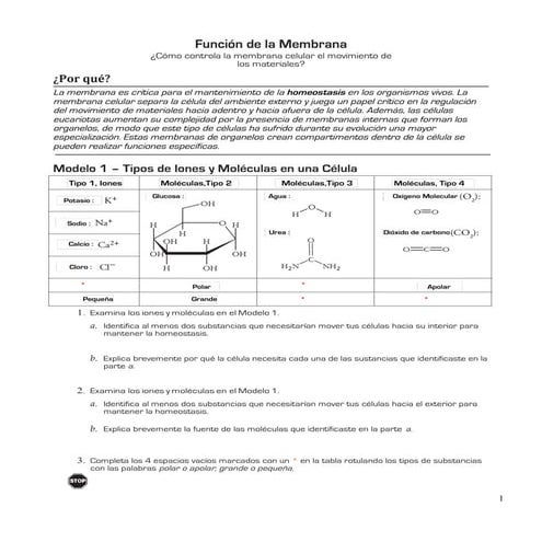 Función de la membrana celular. Guía para primero medio, Biología