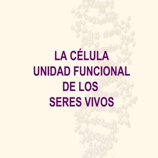 Funciones de la Célula Eucariota