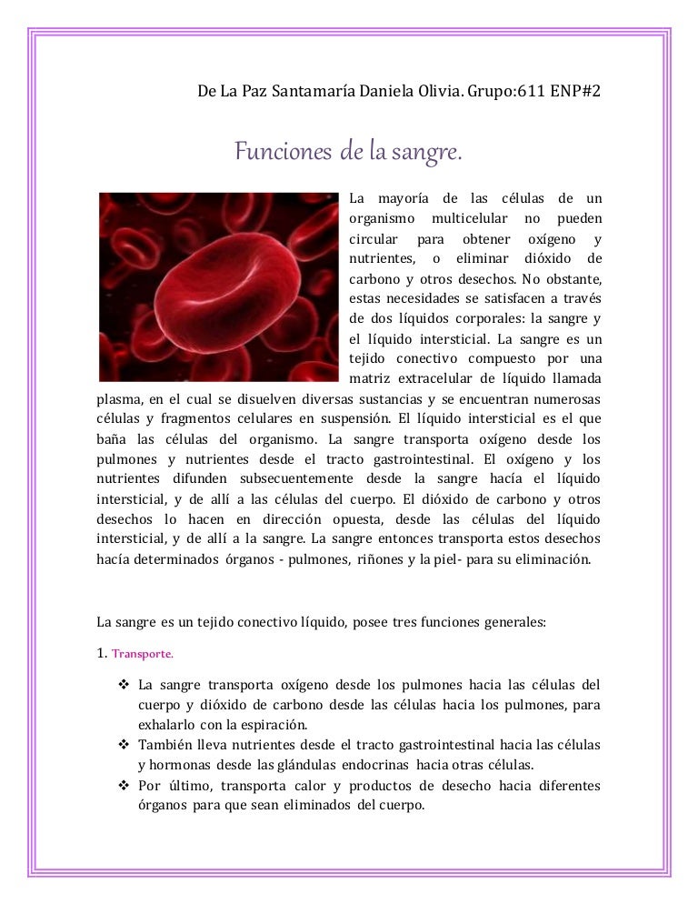 Funciones delasangre