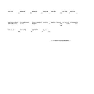 Funciones  maria reino