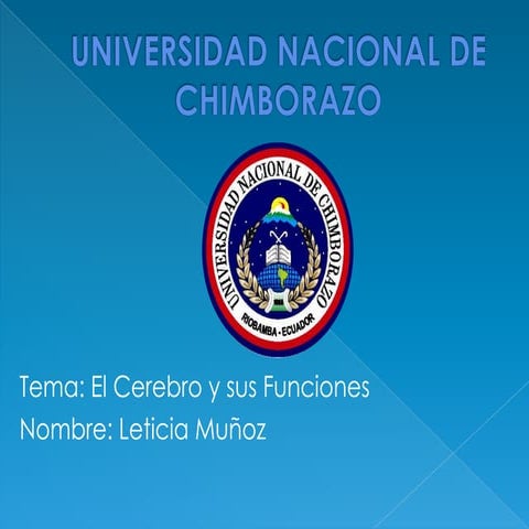  Presentación de las Funciones del cerebro