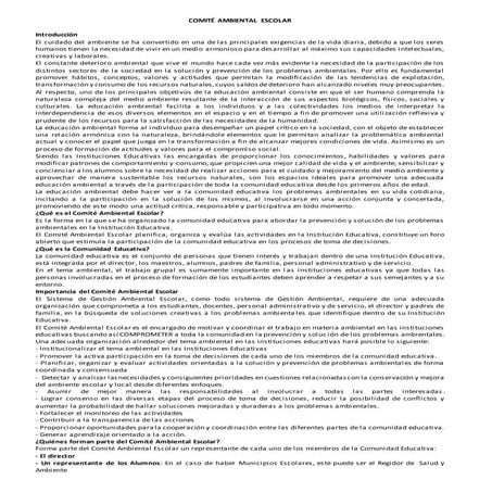 Funciones del comite ambiental