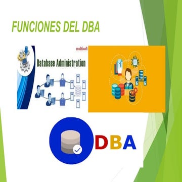 Funciones del DBA, SA Y DA | PDF