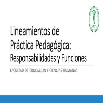 Funciones de los actores de la práctica pedagógica limav