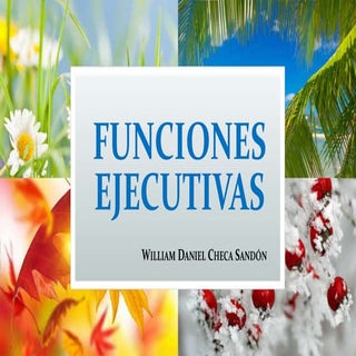 Funciones Ejecutivas - Neurociencia 