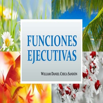 Funciones Ejecutivas - Neurociencia 