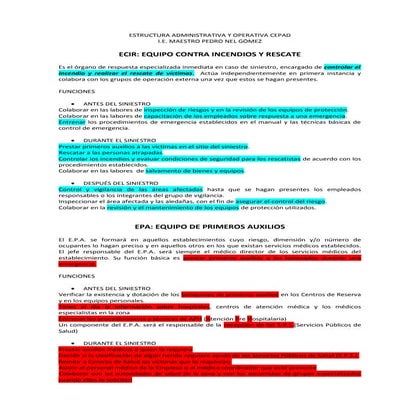 Funciones Brigadas CEPAD 2011