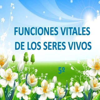 Funciones Vitales De Los Seres Vivos..