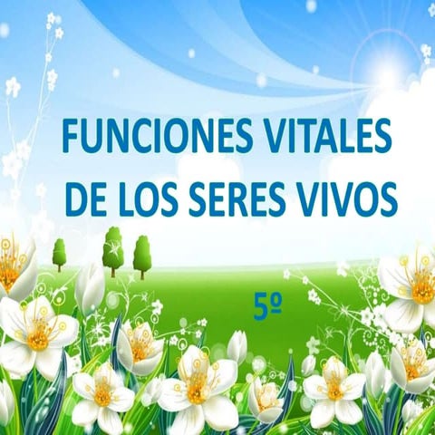 Funciones Vitales De Los Seres Vivos..