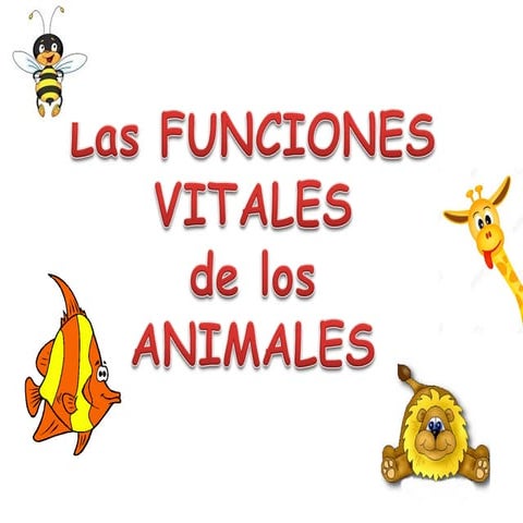 Funciones vitales de los animales