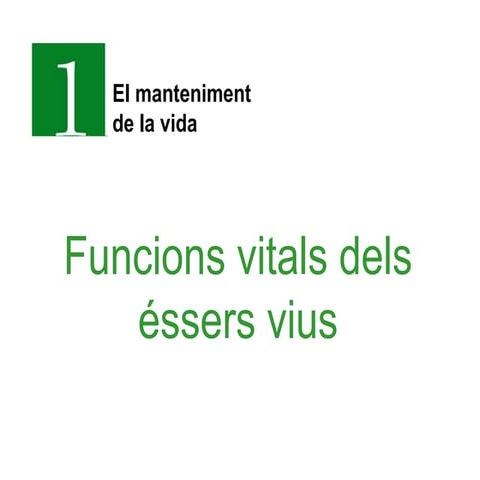 Funcions vitals dels éssers vius