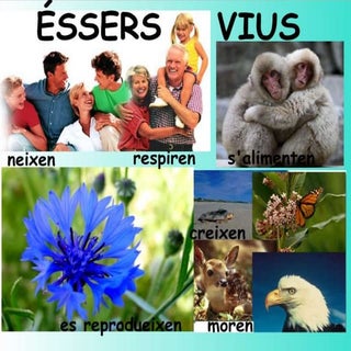 Funcions vitals dels éssers vius